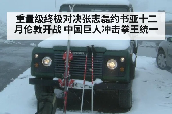 重量级终极对决张志磊约书亚十二月伦敦开战 中国巨人冲击拳王统一